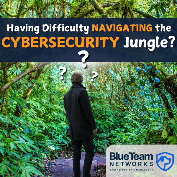 Difficulty navigating the cyber security jungle?